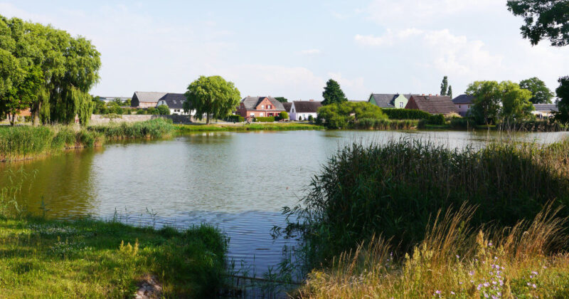 Rollwitz Teich