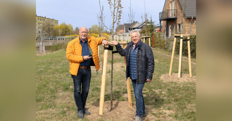 Ueckermünde HaffNet-Städte-Challenge